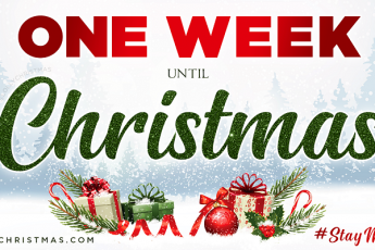 One Week Until Christmas Day!